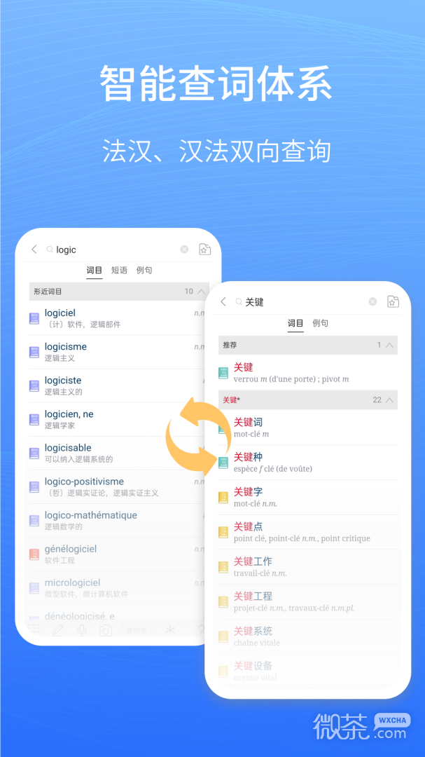 外研社法语大词典