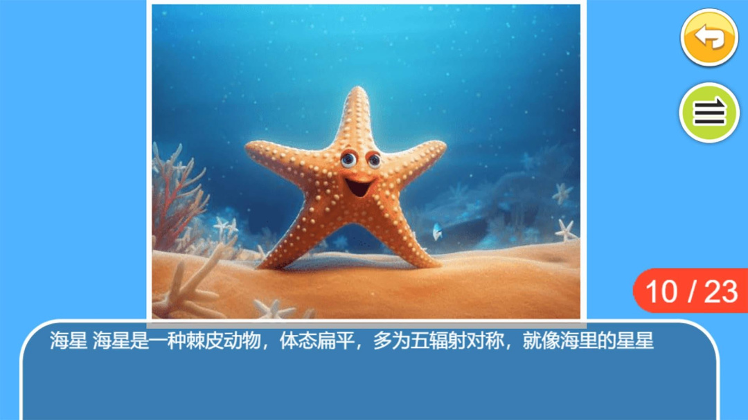 儿童宝宝海洋世界