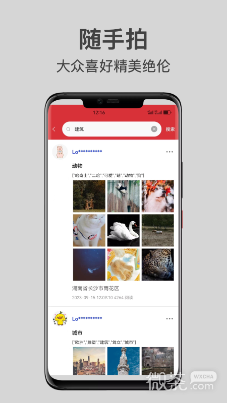 随手拍