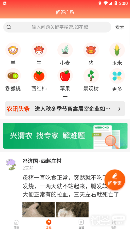 兴渭农(线上农业咨询服务)