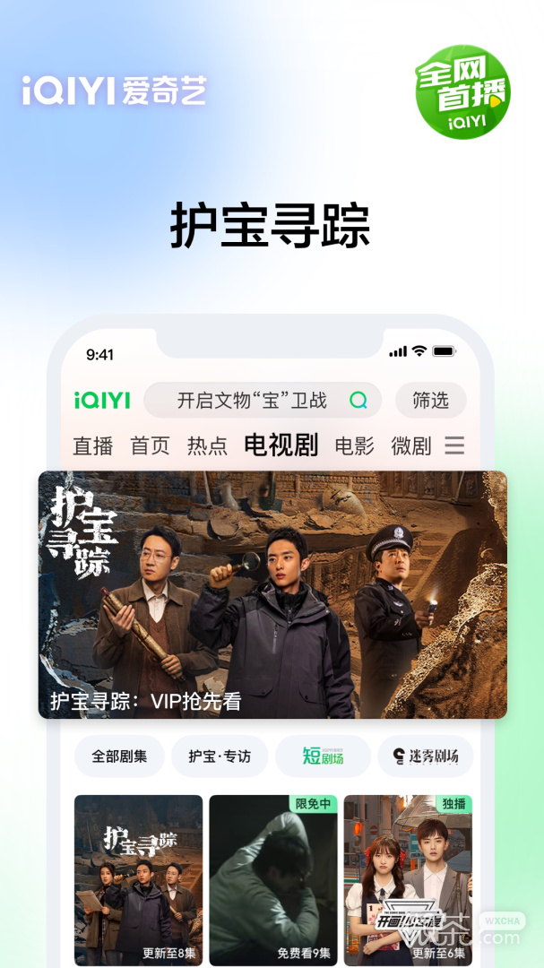 爱奇艺快捷版