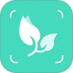 智能拍照识物最新版