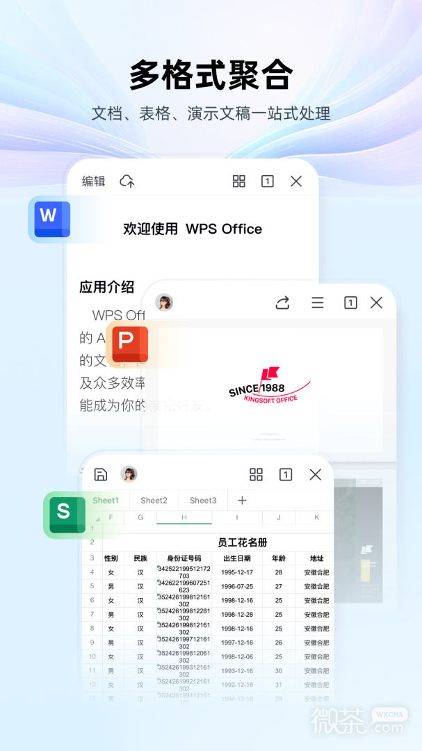 WPS Office2022