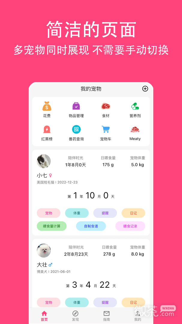 铲屎官日记