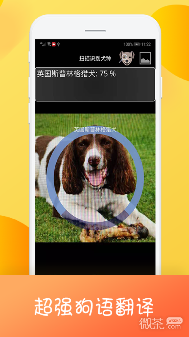 猫狗翻译器