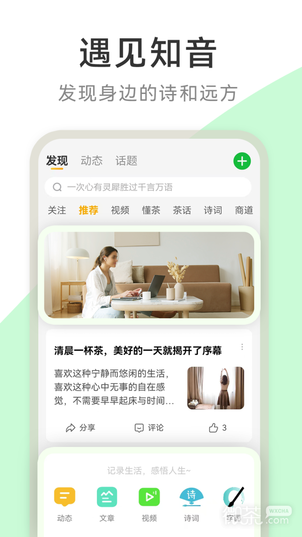 茶秘书