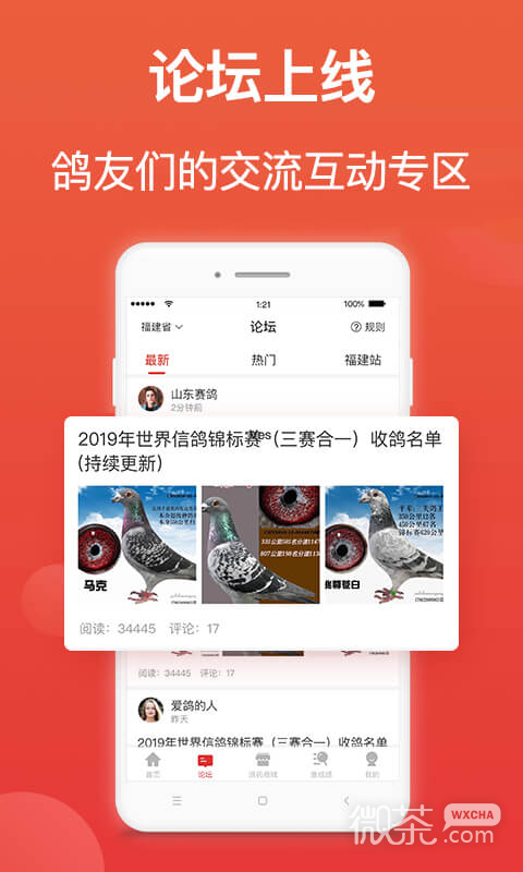 搜鸽天下