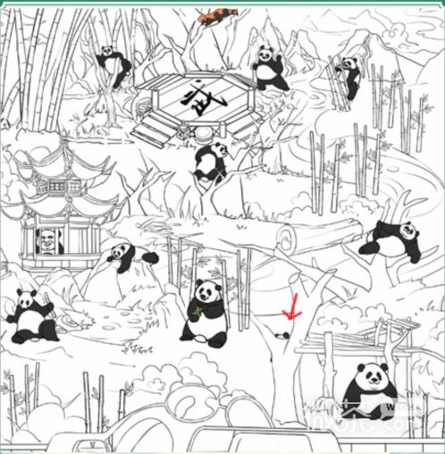 《疯狂梗传》找熊猫找出十二个熊猫通关攻略一览