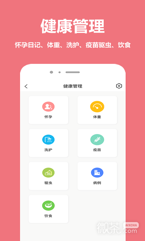 宠物王国