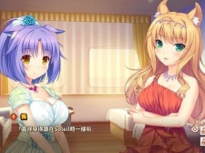 十款自由度极高的恋爱