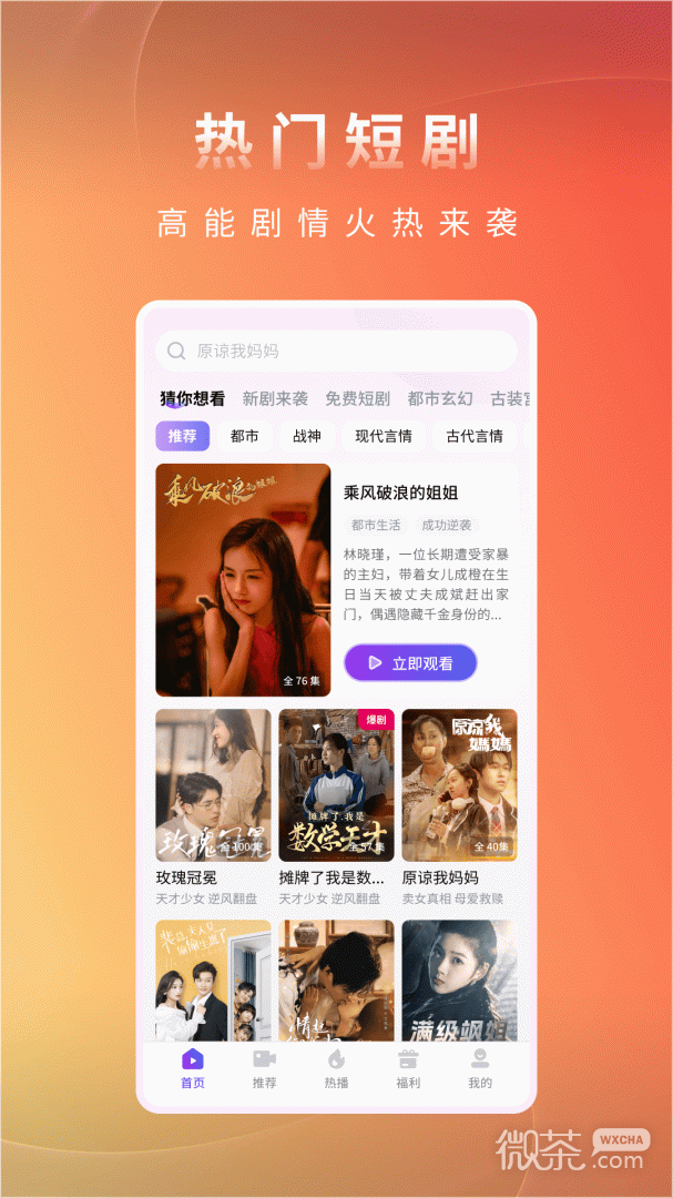 蚂蚁看看