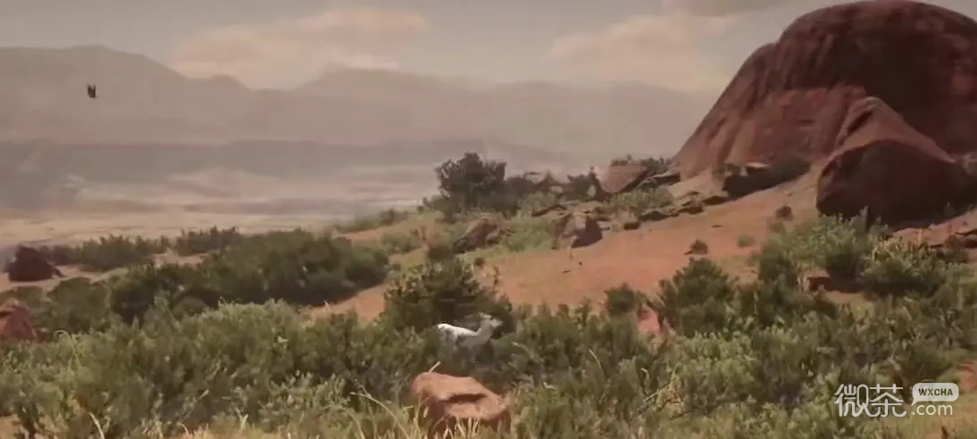 《荒野大镖客：救赎2》传说动物位置一览