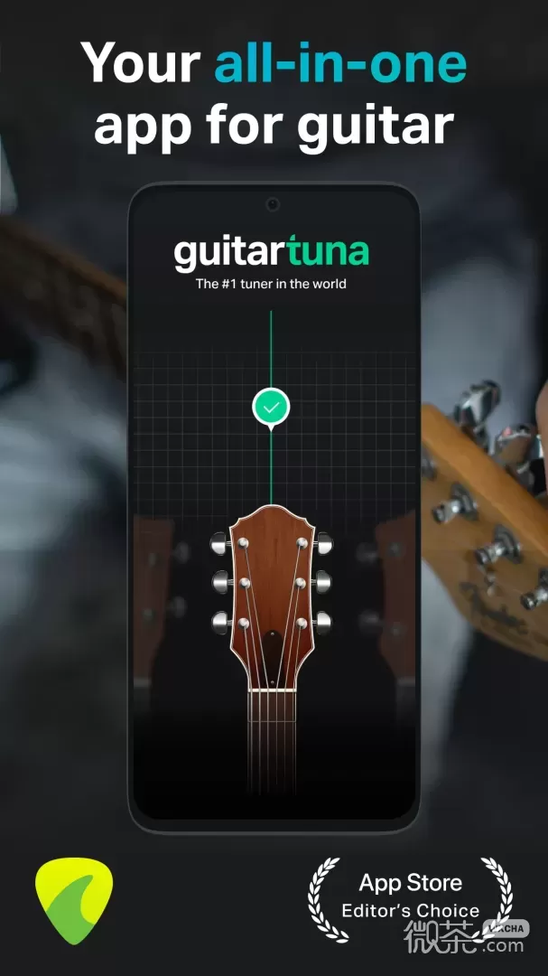 GuitarTuna