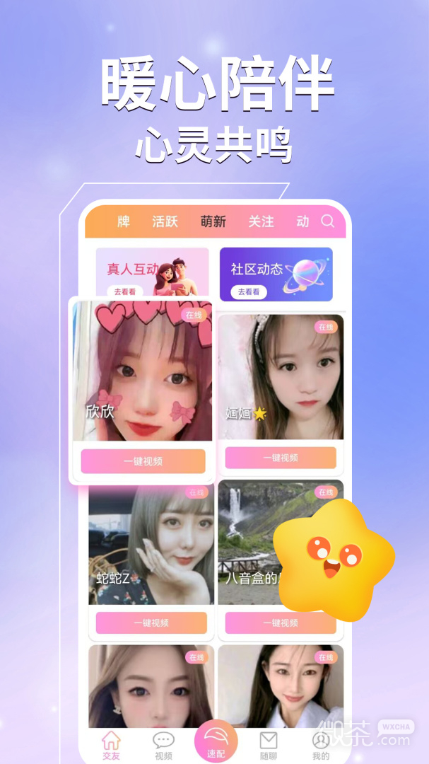 心夜美聊
