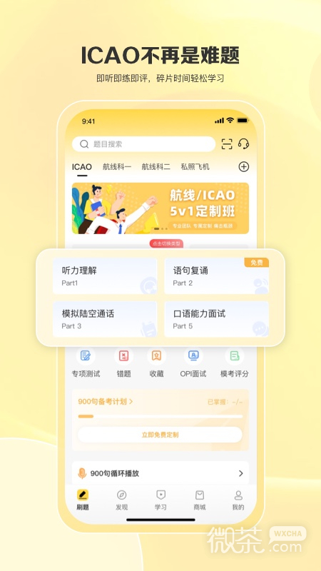飞行之翼