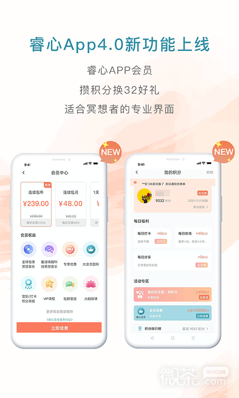 睿心冥想