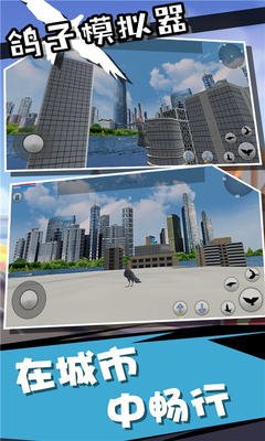 城市鸽子模拟器2024版
