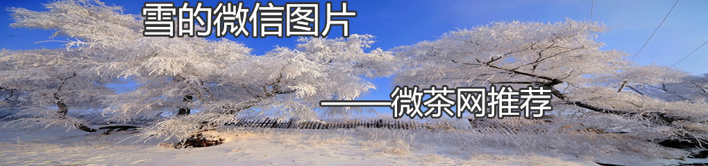 雪
