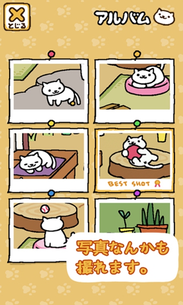 猫咪后院无限金鱼版