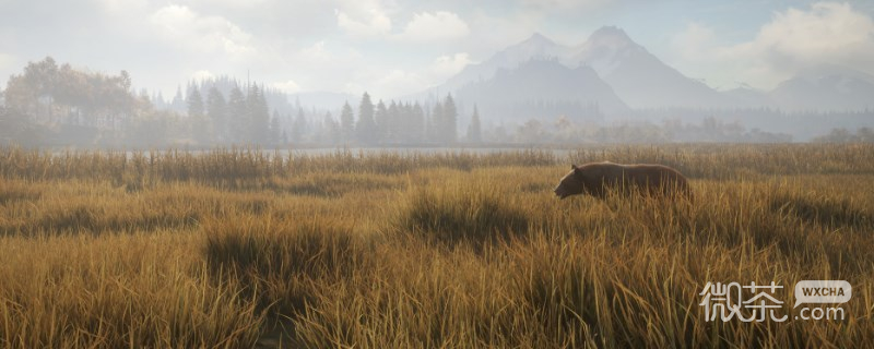 《猎人：荒野的呼唤》雷文图里的貉位置一览