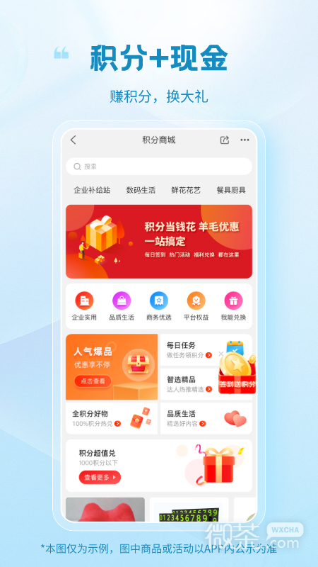 玻多多