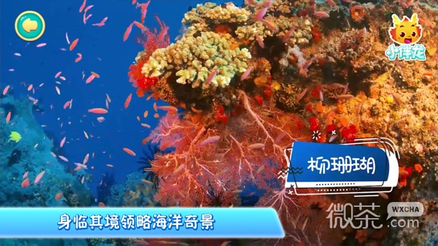 小伴龙海洋世界