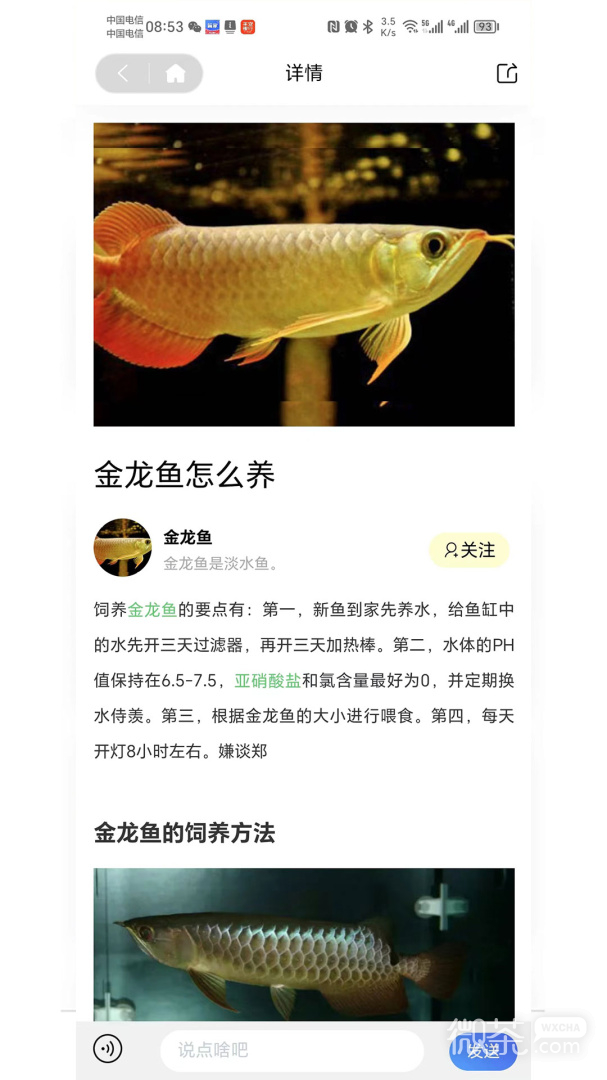 知鱼圈