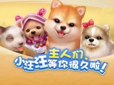 休闲宠物养成