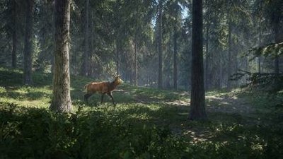 《猎人：荒野的呼唤》银铃峰的骡鹿位置一览