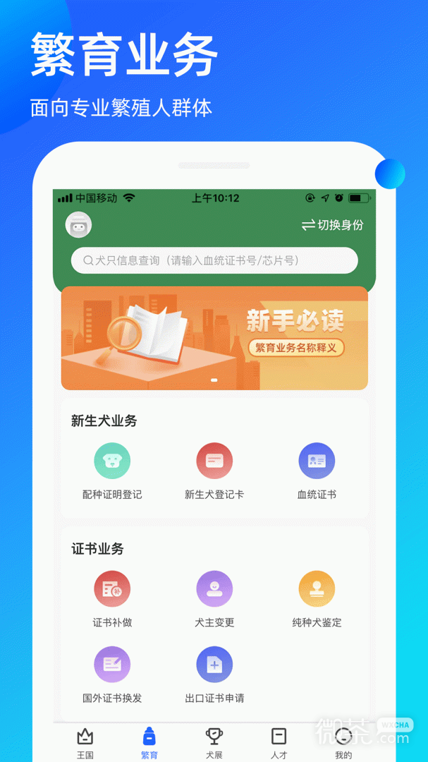 宠爱王国