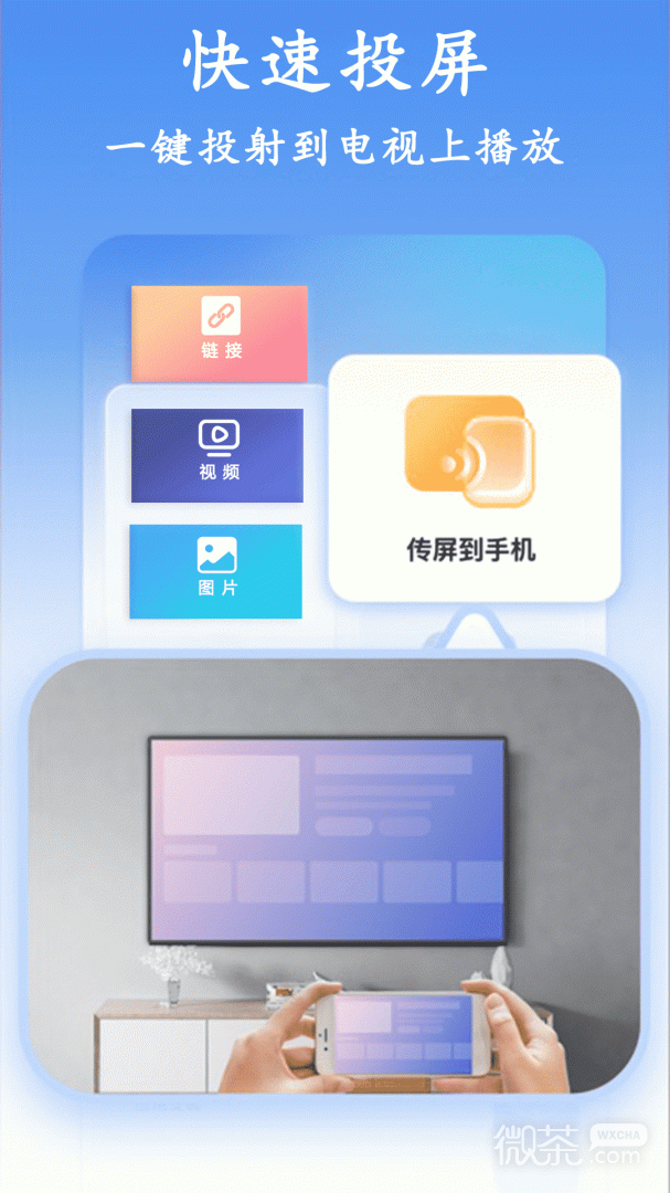 蓝莓投屏