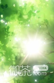 夏目友人帐的夏天素材图片