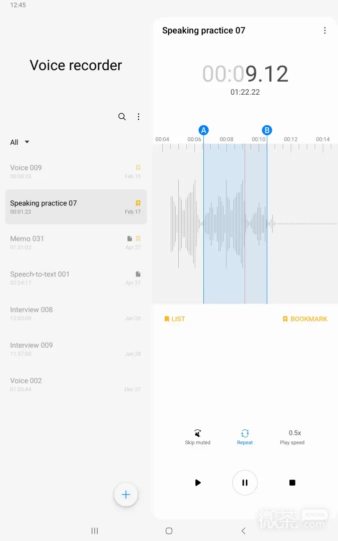 Samsung Voice Recorder