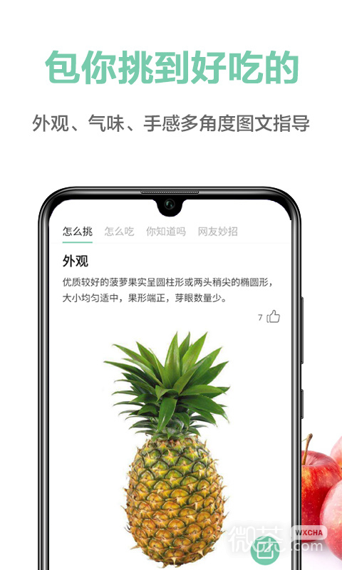 果蔬百科