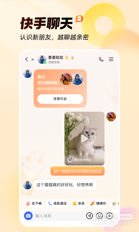 快手vivo定制版
