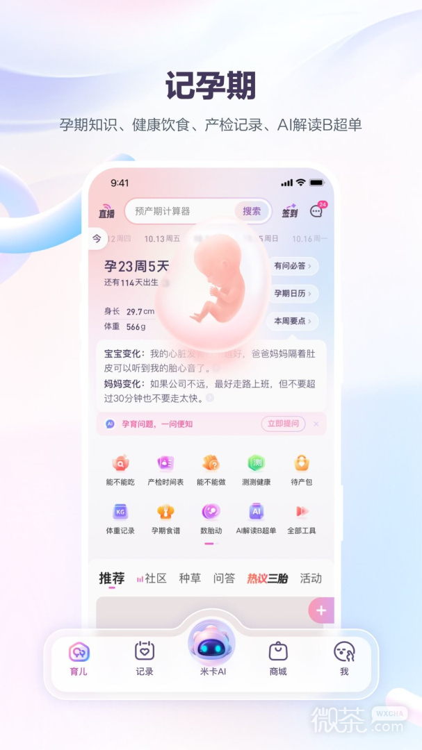 宝宝树孕育