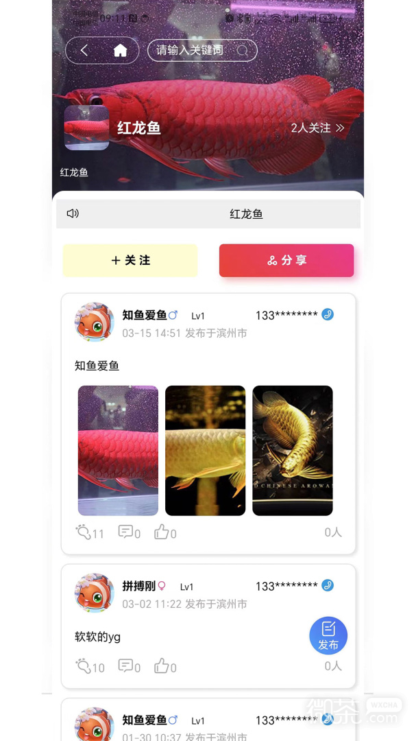 知鱼圈