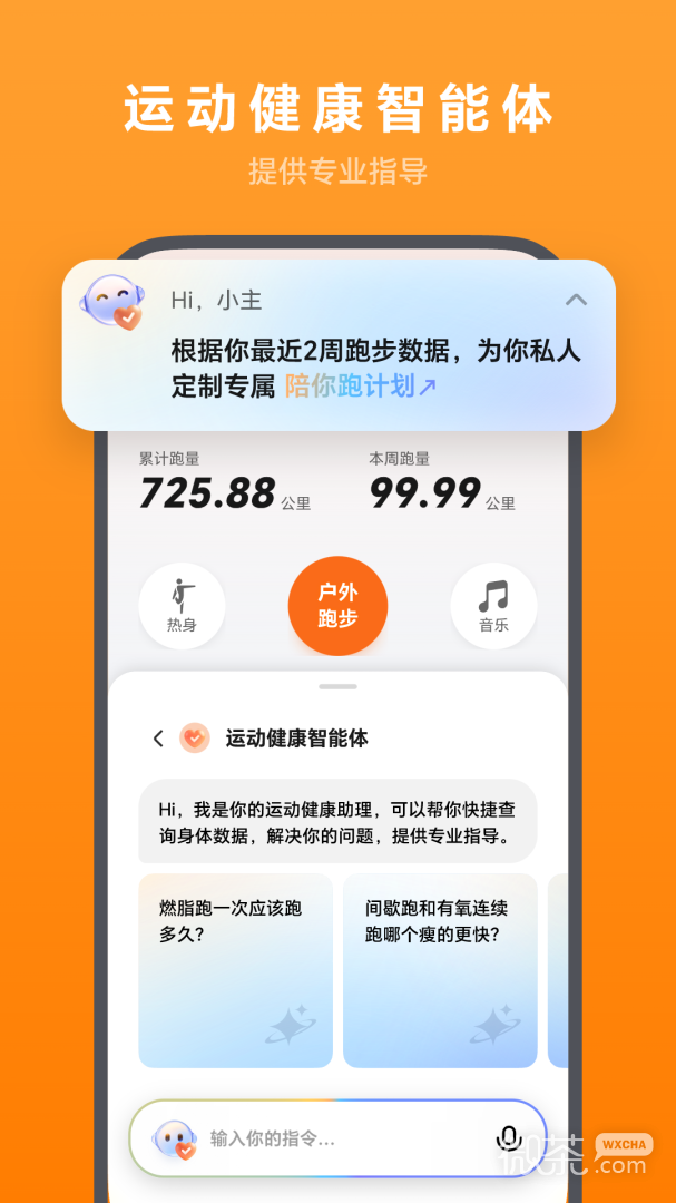 荣耀运动健康