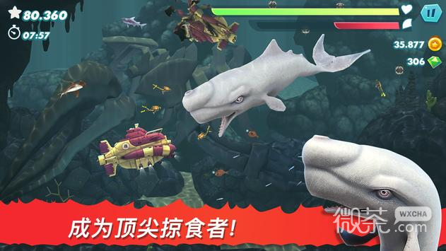 饥饿鲨进化999999钻石最新版