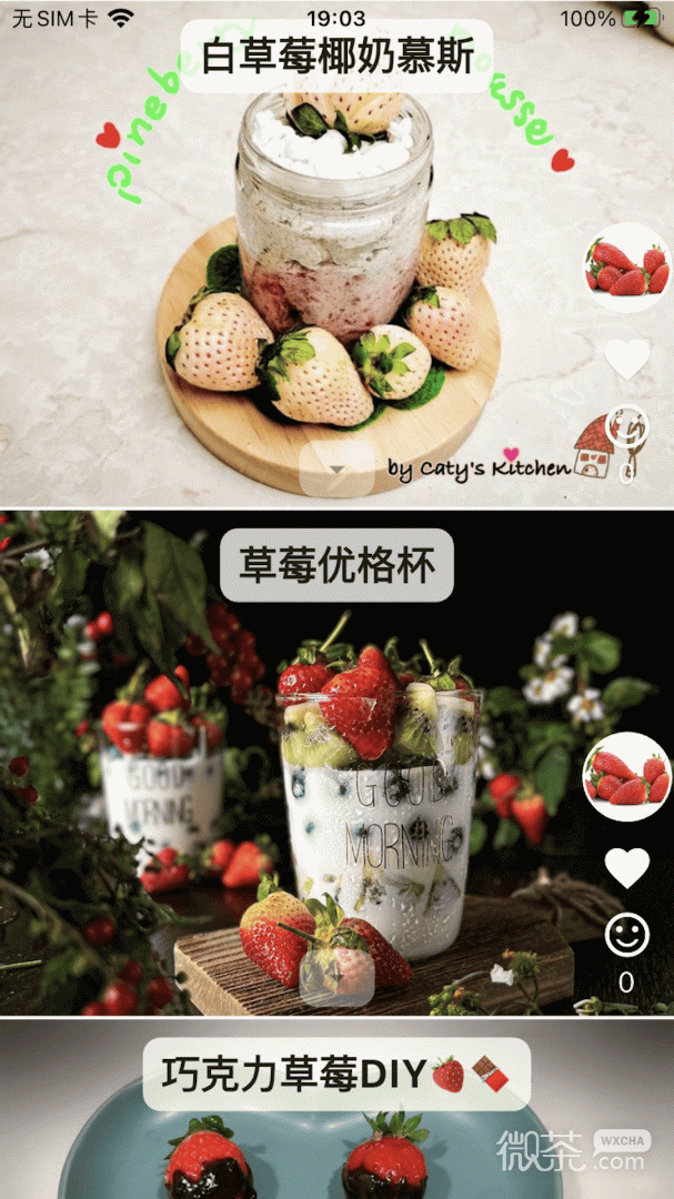 素食家