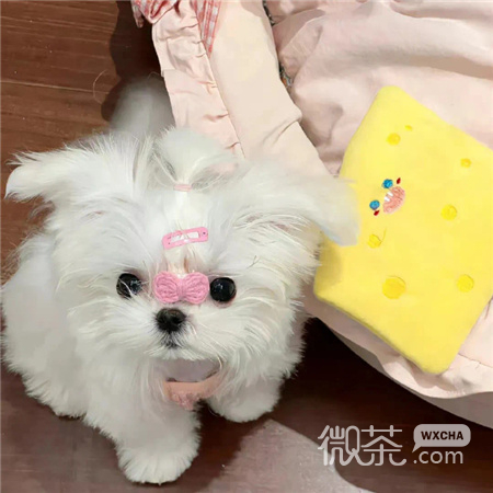 好看的高清背景图