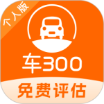 车300二手车