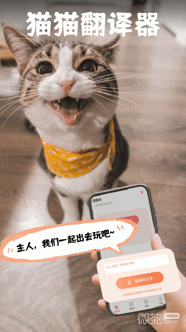 猫翻译最新版