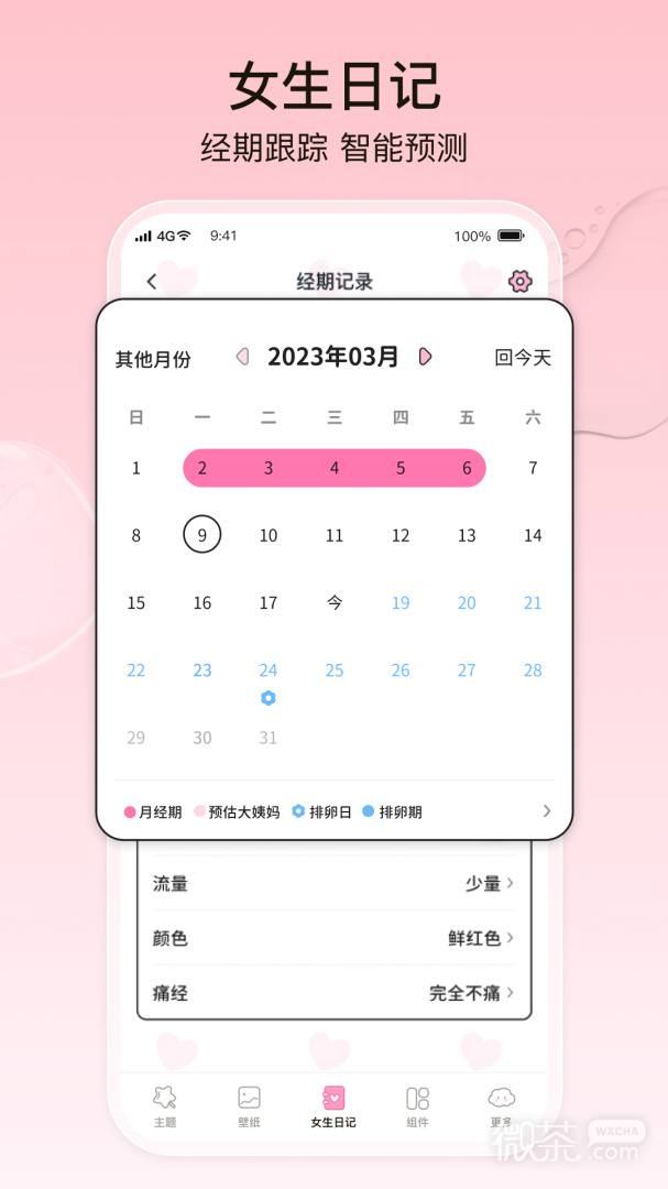 元气小组件