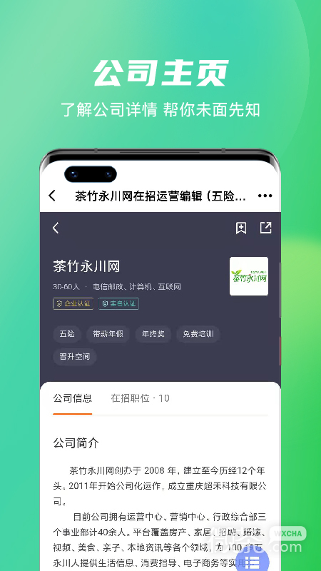 茶竹人才网