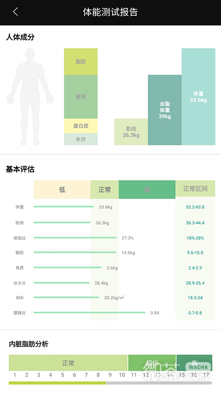 九炼健身