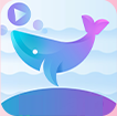 鲸鱼视频传媒