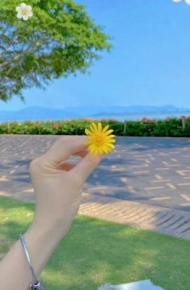 适合夏天的背景图