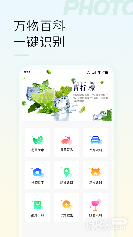 智能拍照識物截圖1