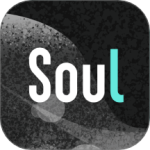 soul免登录版